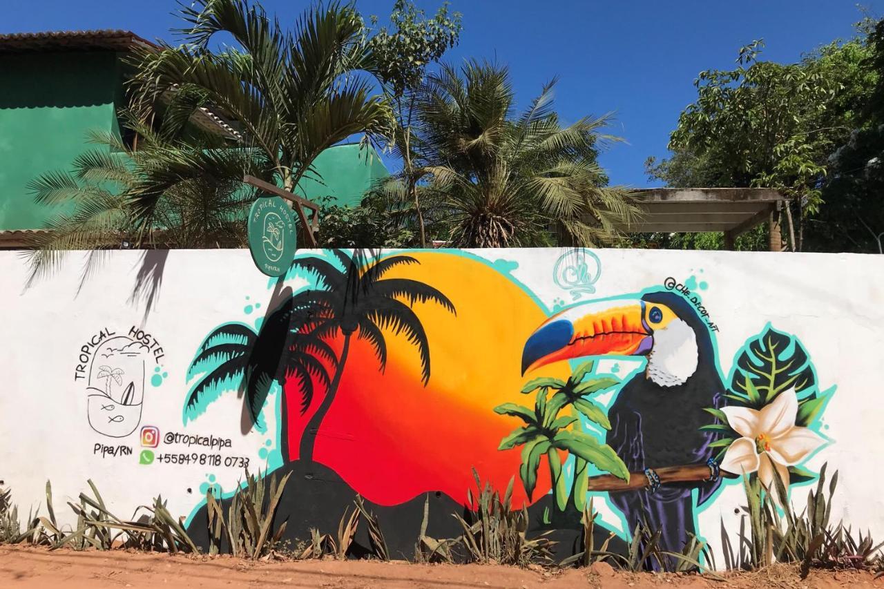 Tropical Hostel Praia de Pipa 外观 照片